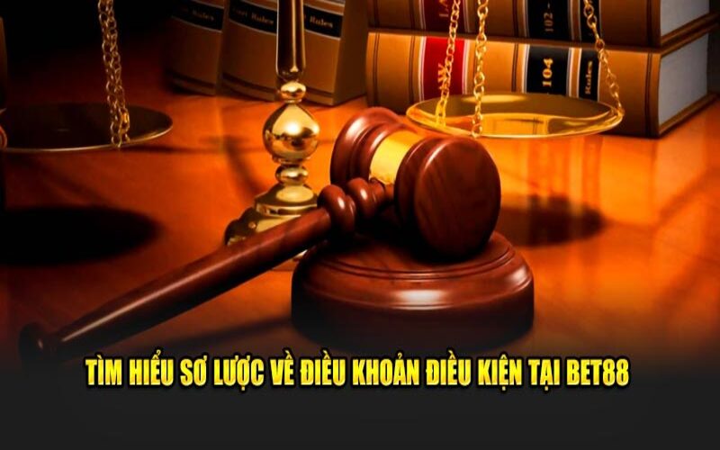 Điều Khoản Điều Kiện
