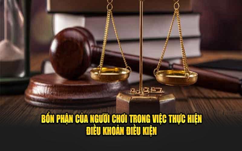 Trách nhiệm được nêu rõ trong chính sách điều khoản điều kiện 2025