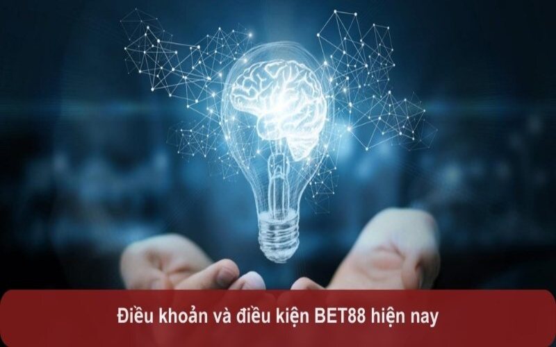 Phương pháp xử lý nếu thành viên vi phạm điều khoản 2025