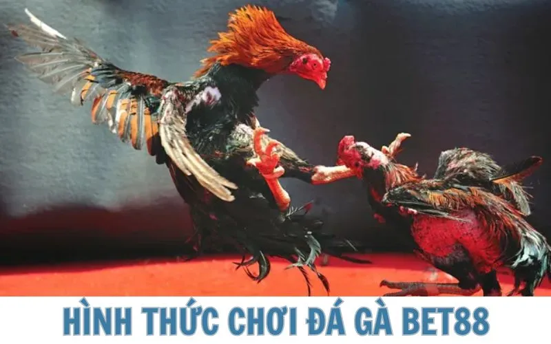 Giới thiệu các hình thức gây sốt tại BET88