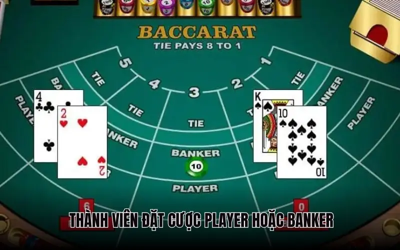 Thành viên có thể tham gia vào 2 loại cược là Player hoặc Banker