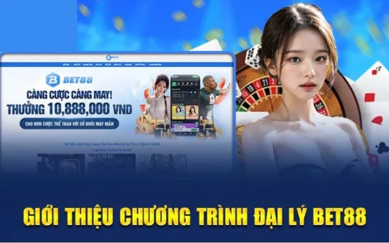 Vài nét tổng quát về đối tác của nền tảng