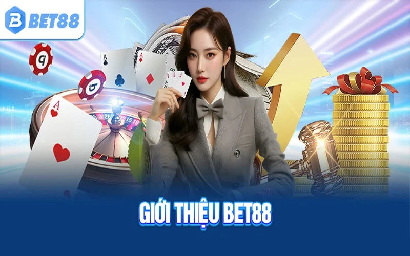 Đôi nét về chúng tôi
